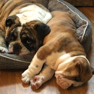 Meet your Posher, Rob